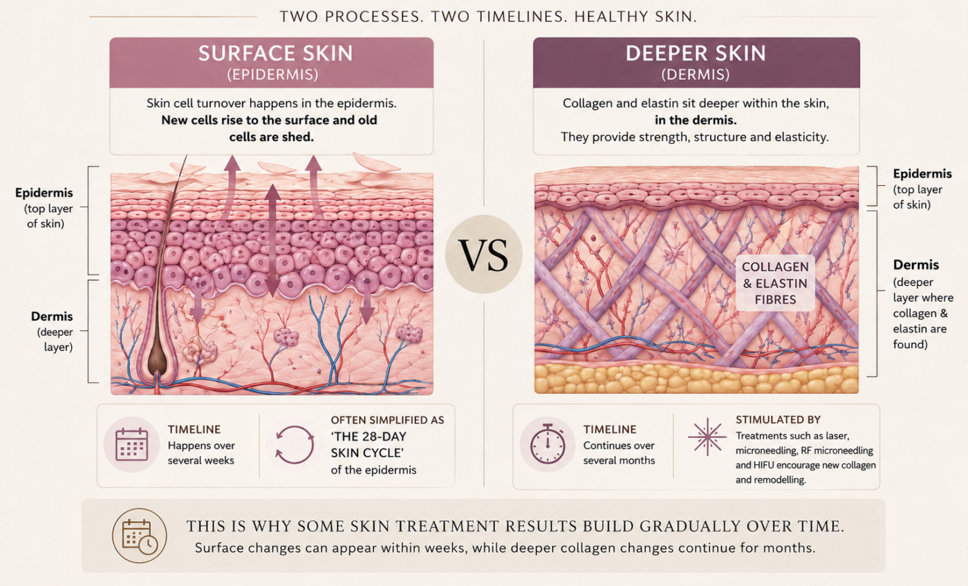 skin cell turnover vs collagen remodelling